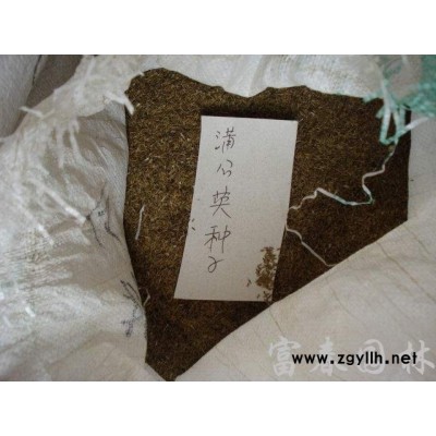浮島安裝_河道生態修復工程方案_河道兩岸綠化效果圖大全