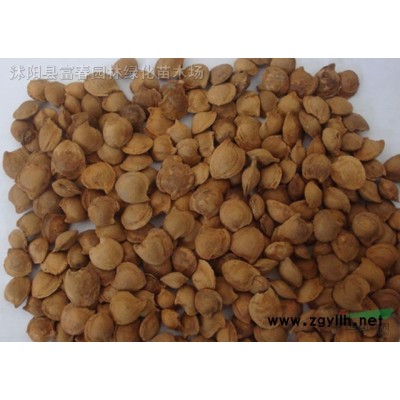 水上綠化_人工生態浮島施工圖_直銷