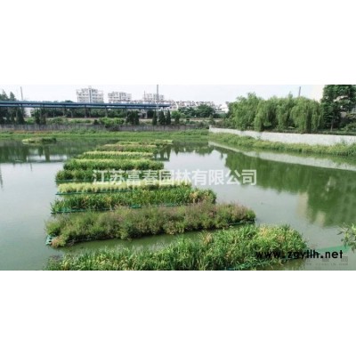 人工生態(tài)浮島_河道生態(tài)修復(fù)工程方案_施工價(jià)格行情