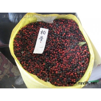 水上種植浮床 人工濕地生態(tài)浮床漂浮墊 抗風(fēng)浪浮板水生植物浮床