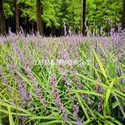 稻草人工藝品 稻草 稻草藝術 專業定制稻草文化藝術節