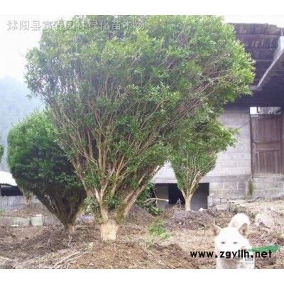 稻草人工藝品手工藝術品干稻草編制藝術來圖定制