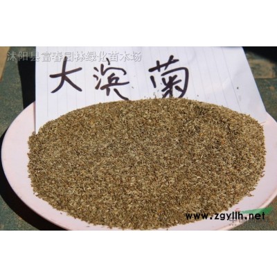 批發(fā)稻草人工藝品手工制作稻草人卡通形象拿圖來做造型百變