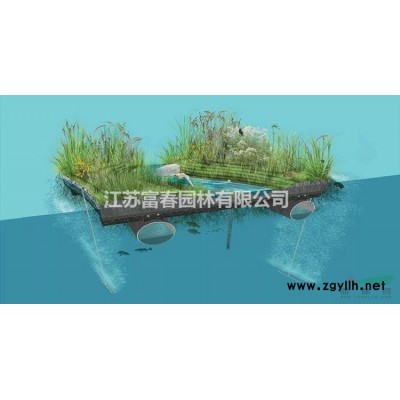 雙色庭菖蒲盆栽植物 庭院美觀裝飾開花植物 巖石花園清香型花卉