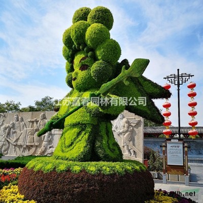 大量出售草本植物九頭獅子草 九頭獅子草價格 量大優惠