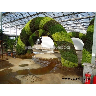 立體綠化組合花盆批發，山東立體綠化容器制作，山東組合花盆價格