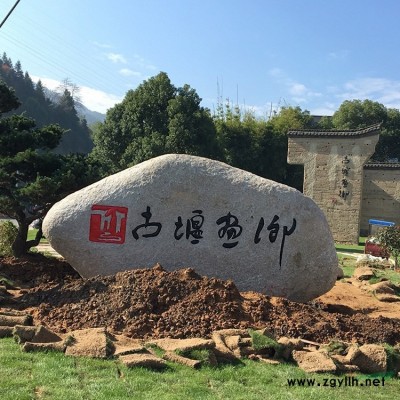 桐廬園林風景石太湖石草坪石奇石 T116