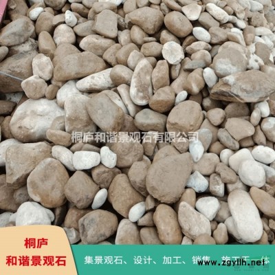 浙江天然景觀石風景石基地 泰山石點石奇石 TZ12