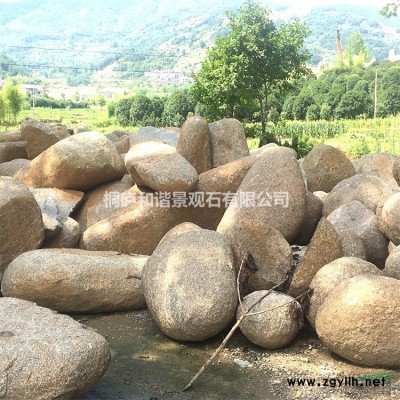 桐廬天然鵝卵石濾料水洗石雨花石基地