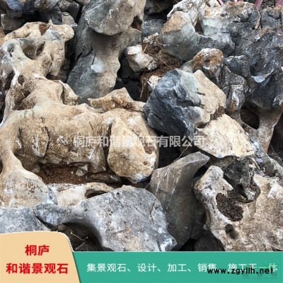 精品太湖石奇石原石草坪園林點石 T32