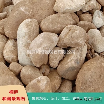 桐廬天然景觀石龜紋石 假山駁岸石