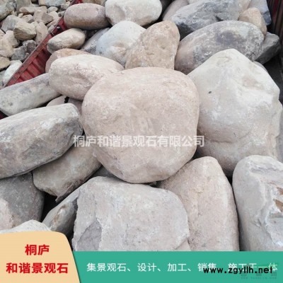 桐廬園林景觀石基地 龜紋石奇石 草坪點綴石