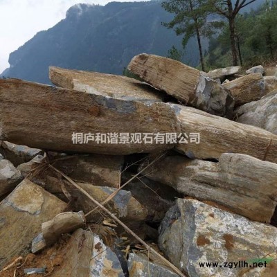 杭州產(chǎn)地直銷鵝卵石水沖石奇石