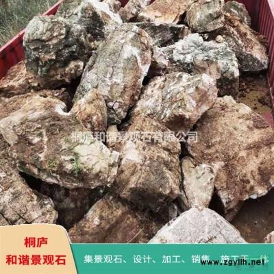 自然景觀石太湖石窟窿石點石原石