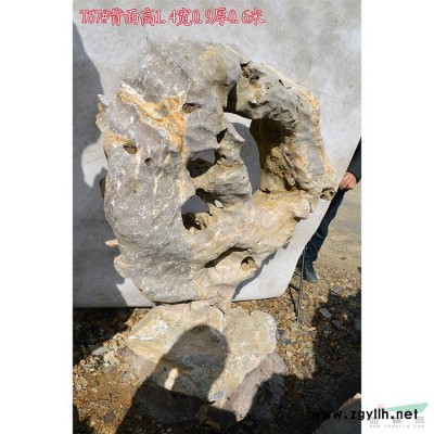 產地直銷優(yōu)質大型太湖石點石窟窿石草坪點綴石 19#