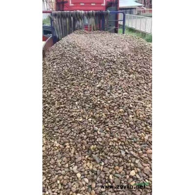 杭州天然鵝卵石 雨花石 火山巖 產(chǎn)地