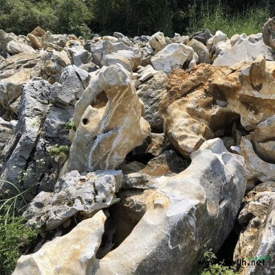 天然景觀石 杭州園林風景石龜紋石假山石