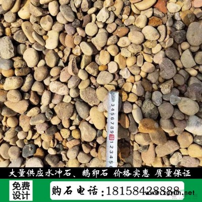杭州天然景觀石園林風(fēng)景石刻字石九龍玉點石 C101