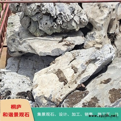 園林景觀石太湖石點石奇石原石 T125
