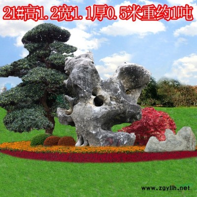 產地直銷天然景觀石風景石太湖石窟窿石奇石