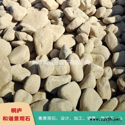 庭院點(diǎn)綴石太湖石草坪石奇石 T129