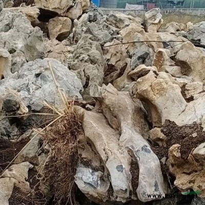 天然景觀石園林風景石 龜紋石 奇石 原石產地直銷