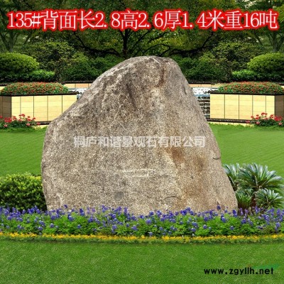 園林景觀石風景石 龜紋石原石奇石