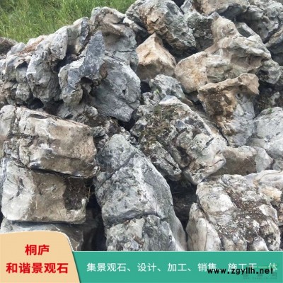 太湖石窟窿石自然石原石奇石產地直銷