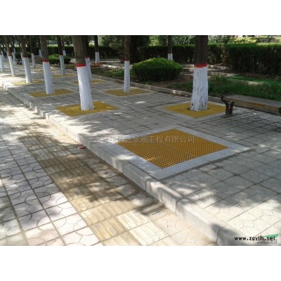 浙江玫瑰小苗*新報(bào)價(jià)/玫瑰小苗圖片