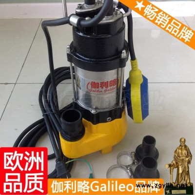 螺旋提升泵 集水井潛污泵 小型水景水泵 漢