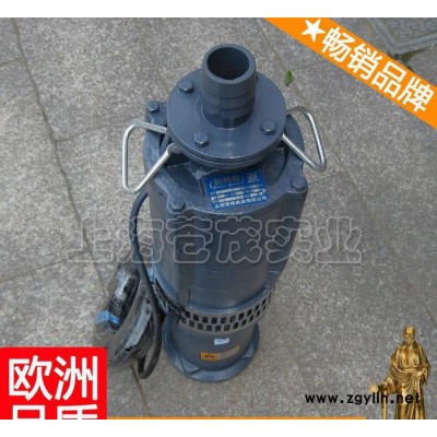 低壓噴泉水泵 qy160-23-15 水景噴泉水泵 周