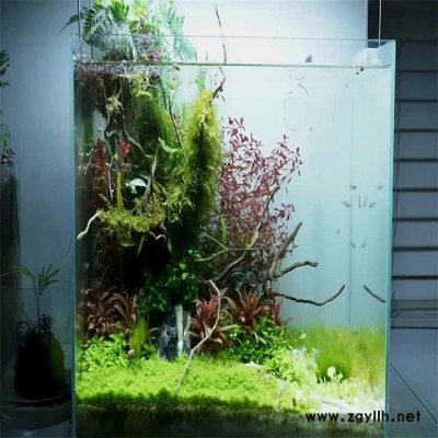 瀟湘 水族箱供應(yīng) 水族箱魚缸廠家 室外景觀假山魚池 假山景觀