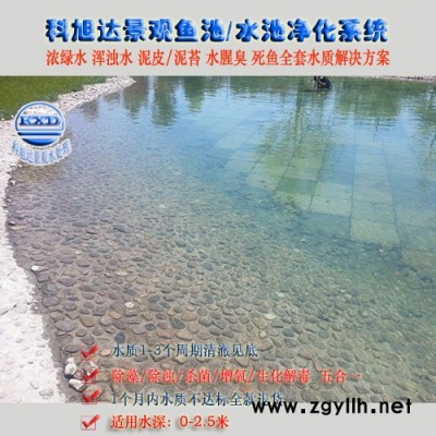 解決景觀魚池水發(fā)綠,科旭達假山魚池過濾設備寧波別墅魚池假山過濾魚池不換水一次性解決方案