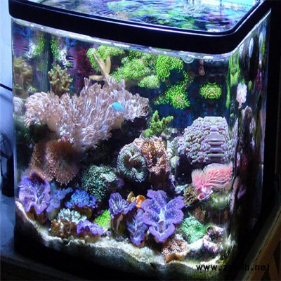 瀟湘 水景魚缸 大型定制魚缸 家庭制作庭院假山魚池 信譽(yù)廠家