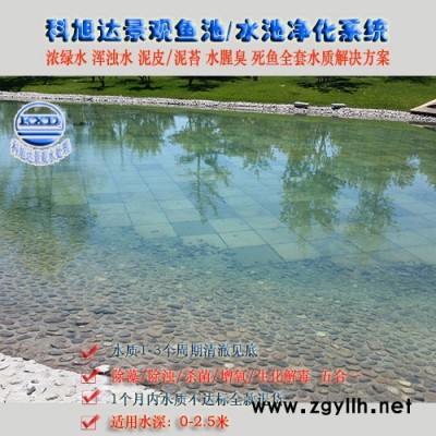 水景景觀水處理設備出售,科旭達錦鯉過濾棗莊別墅魚池水景水凈化處理水綠一次性解決方案