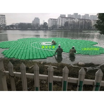 生態水景綠環保科技  人工浮島植物 景觀效果人工生態浮床 生態浮床 浮島植物  凈化水質選紅發水景