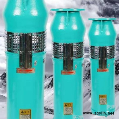 廠家現(xiàn)貨直銷(xiāo) 噴泉泵 不銹鋼304噴泉泵 臥式水景噴泉 景區(qū)噴泉泵