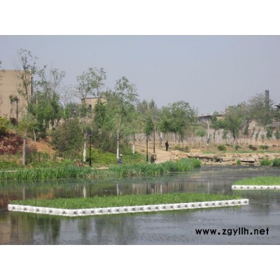 源發水景 生態浮島  人工浮島  水生植物 人工浮島批發 生態浮島價格  紅發水景荷花苗、蘆葦苗睡蓮苗育植中心