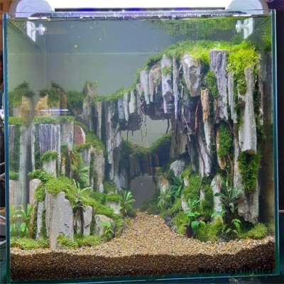 瀟湘 魚池 家庭景觀魚池 專業(yè)承接假山魚池景觀工程 可來圖定制