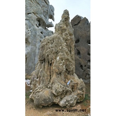 供應(yīng)假山石，園林石，太湖石，景觀石，層石 龜紋石