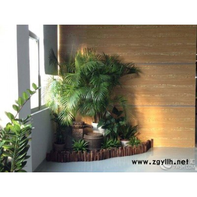 漢南綠植租擺 花卉租賃 綠植租賃 花卉租擺 綠化養護 假山 木平臺