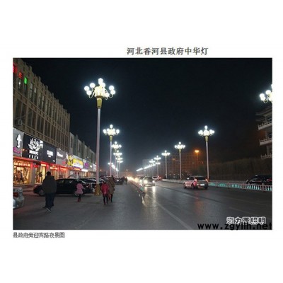 海力西  直銷 中華燈 道路燈 標志景觀燈 廣場公園燈 戶外照明  庭院燈