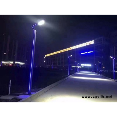 廠家專業制作 LED高亮景觀燈 小區廣場庭院燈 鋁型材景觀燈