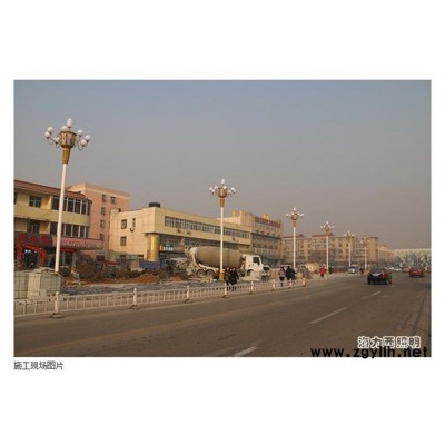 華燈高桿燈戶外道路燈小區燈九頭LED廣場燈景觀庭院燈玉蘭燈