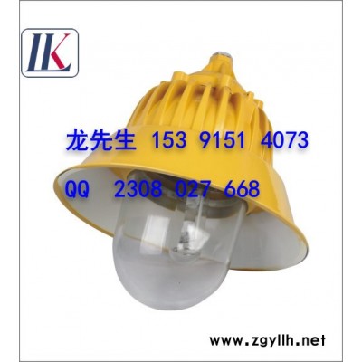 供應(yīng)雷科防爆道路燈(平臺燈)