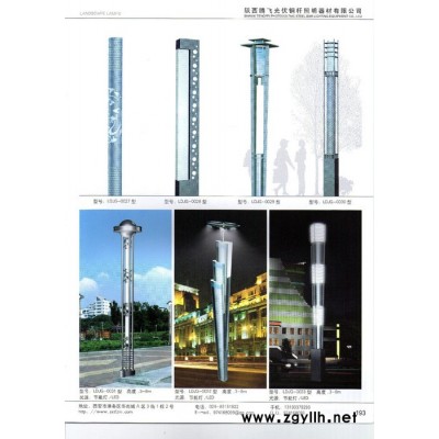 陜西騰飛  景觀燈定制