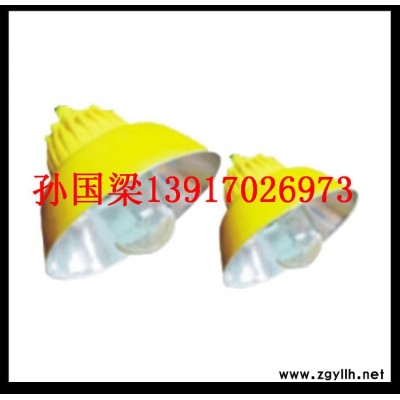 供應代鴻照明BLC8600【BLC8600】防爆道路燈