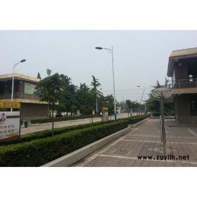 卓眾  CLD-1道路燈