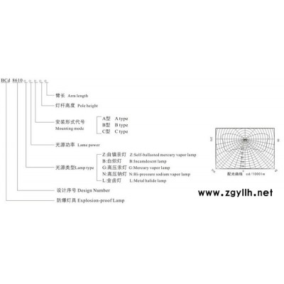 上海飛策BCd8610系列防爆燈（道路燈）