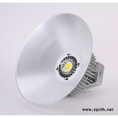 雷舒照明LS-BG100景觀燈